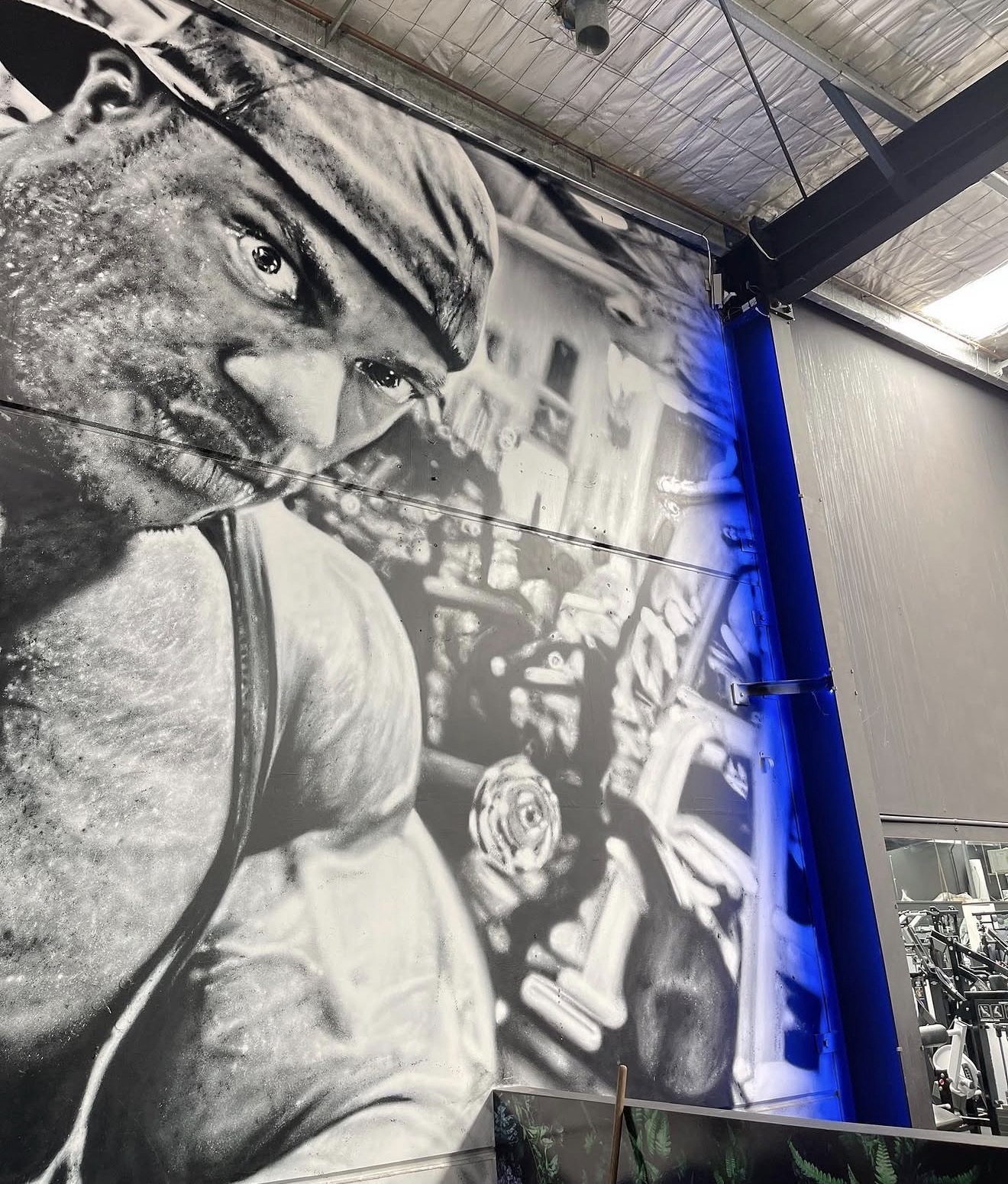Gym LED Blue Lighting